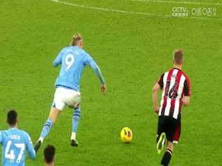 英超阿森纳vs纽卡斯尔联(洪荒)20240224