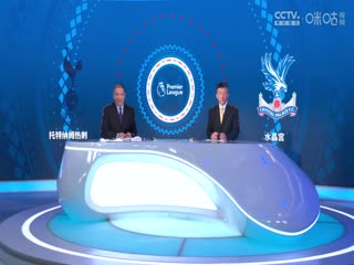 英超托特纳姆热刺vs水晶宫(娄一晨、刘越、孙蕊)20240302
