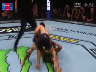 NBA常规赛凯尔特人VS掘金20240308