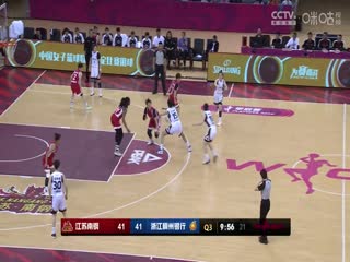 WCBA8进4决赛江苏南钢VS浙江稠州银行20240329（原声）