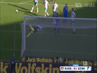 德甲联赛勒沃库森VS霍芬海姆20240330