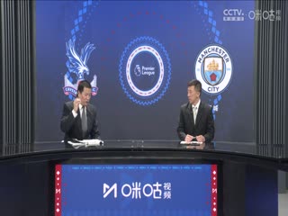 英超联赛水晶宫VS曼城20240406