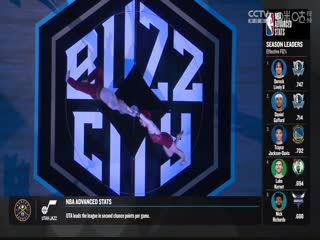 NBA常规赛独行侠VS黄蜂20240410