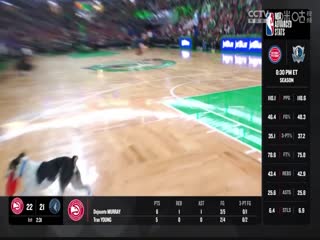 NBA常规赛黄蜂VS凯尔特人20240413