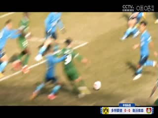 德甲联赛多特蒙德VS勒沃库森20240421