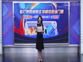 中超联赛成都蓉城VS山东泰山20240426