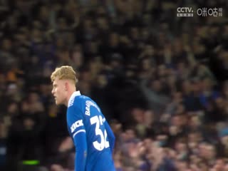 英超联赛埃弗顿VS布伦特福德20240428