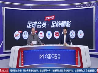 西甲联赛马德里竞技VS毕尔巴鄂竞技20240428