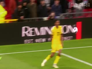 英超联赛伯恩茅斯VS布莱顿20240428