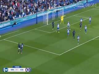 英超联赛布莱顿VS切尔西20240516