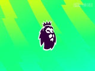 英超联赛布伦特福德VS纽卡斯尔联20240519