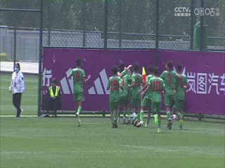 国际中体联足球世界杯小组赛塞尔维亚队VS摩洛哥一队20240521