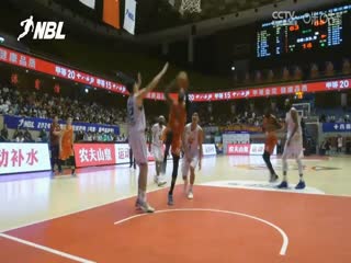 NBL江苏汤沟国藏VS河南赊店老酒20240801