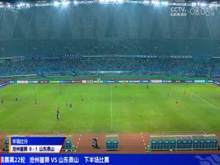 中超联赛沧州雄狮VS山东泰山20240809