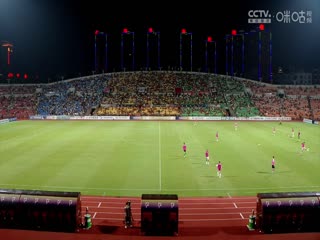 中甲联赛广西平果哈嘹国晶VS石家庄功夫20240824