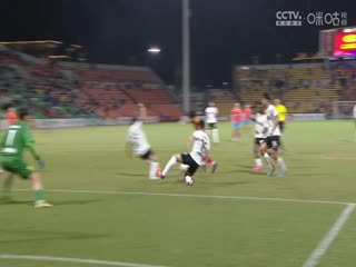 中甲联赛广西平果哈嘹国晶VS青岛红狮20240831