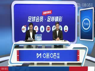 英超联赛纽卡斯尔联VS托特纳姆热刺20240901