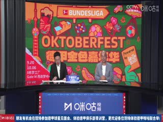 德甲联赛多特蒙德VS海登海姆20240914