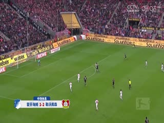 德甲联赛霍芬海姆VS勒沃库森20240914