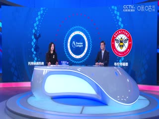 英超联赛托特纳姆热刺VS布伦特福德20240921