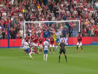 英超联赛布莱顿VS诺丁汉森林20240922