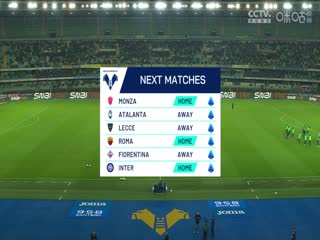 意甲联赛维罗纳VS威尼斯20241005