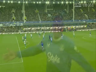 英超联赛埃弗顿VS纽卡斯尔联20241006