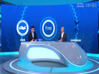 英超联赛布莱顿VS托特纳姆热刺20241006