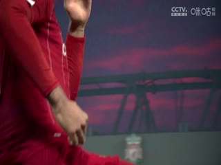 英超联赛纽卡斯尔联VS布莱顿20241019