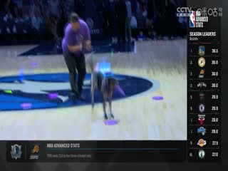 NBA常规赛猛龙VS森林狼20241027