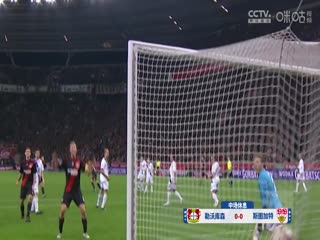 德甲联赛勒沃库森VS斯图加特20241102