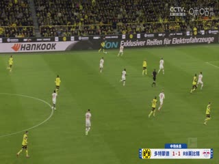 德甲联赛多特蒙德VSRB莱比锡20241103