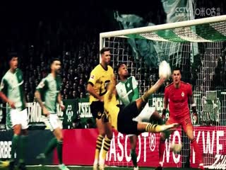 英超联赛伯恩茅斯VS曼城20241102