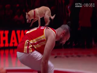 NBA常规赛凯尔特人VS老鹰20241105