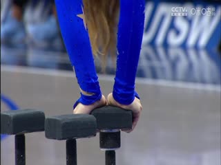 NBA常规赛公牛VS独行侠20241107