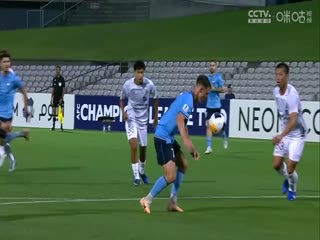 亚冠二级小组赛悉尼VS广岛三箭20241107