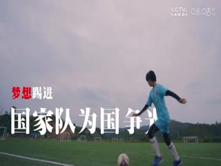 中国传承足球明星联赛云南凤凰上邦维达足球队VS广西传承足球明星队20241109