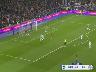 英超联赛布莱顿VS曼城20241110