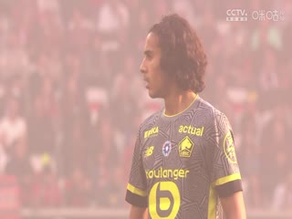 法甲联赛尼斯VS里尔20241110