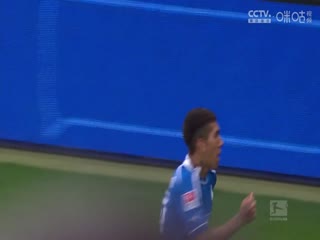 德甲联赛奥格斯堡VS霍芬海姆20241110