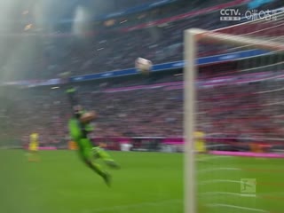 德甲联赛斯图加特VS法兰克福20241111