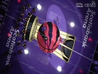 NBA杯活塞VS猛龙20241116