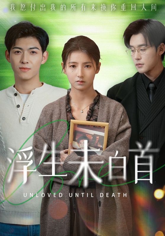 WCBA常规赛B组辽宁大连体产VS厦门环东文旅20241118