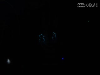 NBA杯鹈鹕VS独行侠20241120