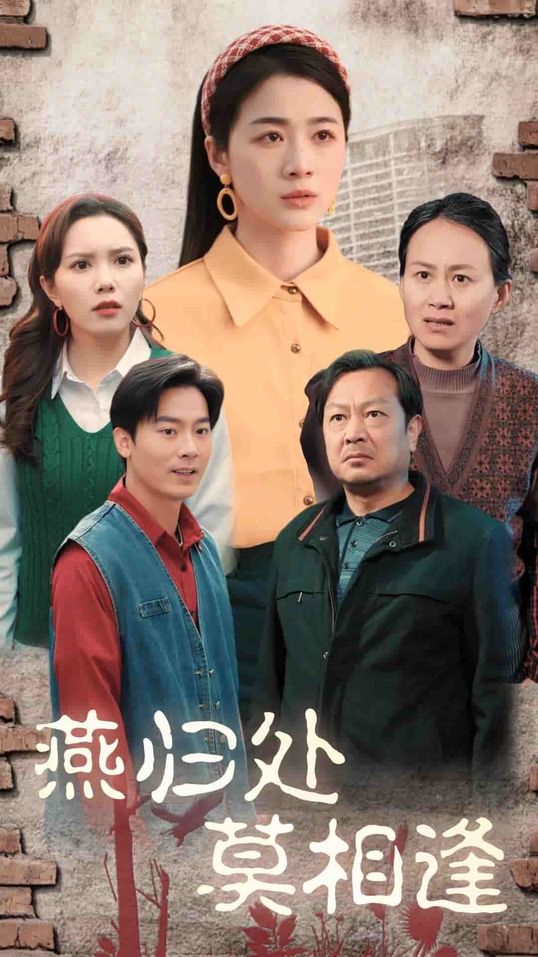 西甲联赛吉罗纳VS西班牙人20241124