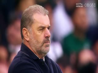 英超联赛伯恩茅斯VS布莱顿20241123