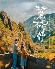 婚礼上白眼狼外甥跪求我原谅