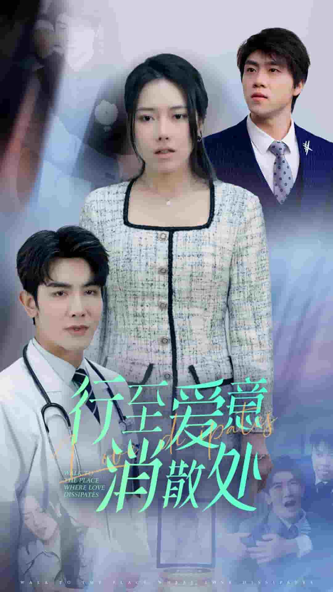 法甲联赛里尔VS雷恩20241124