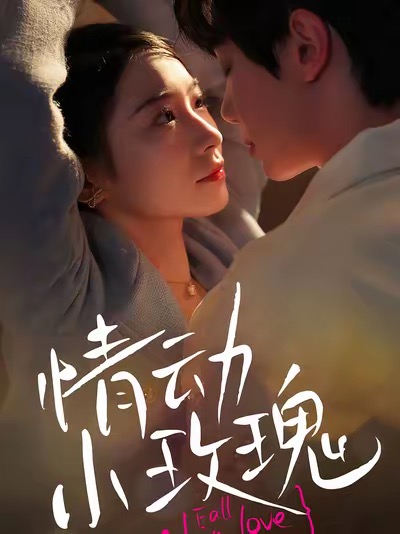 NBA常规赛魔术VS黄蜂20241126