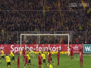 德甲联赛美因茨VS霍芬海姆20241201